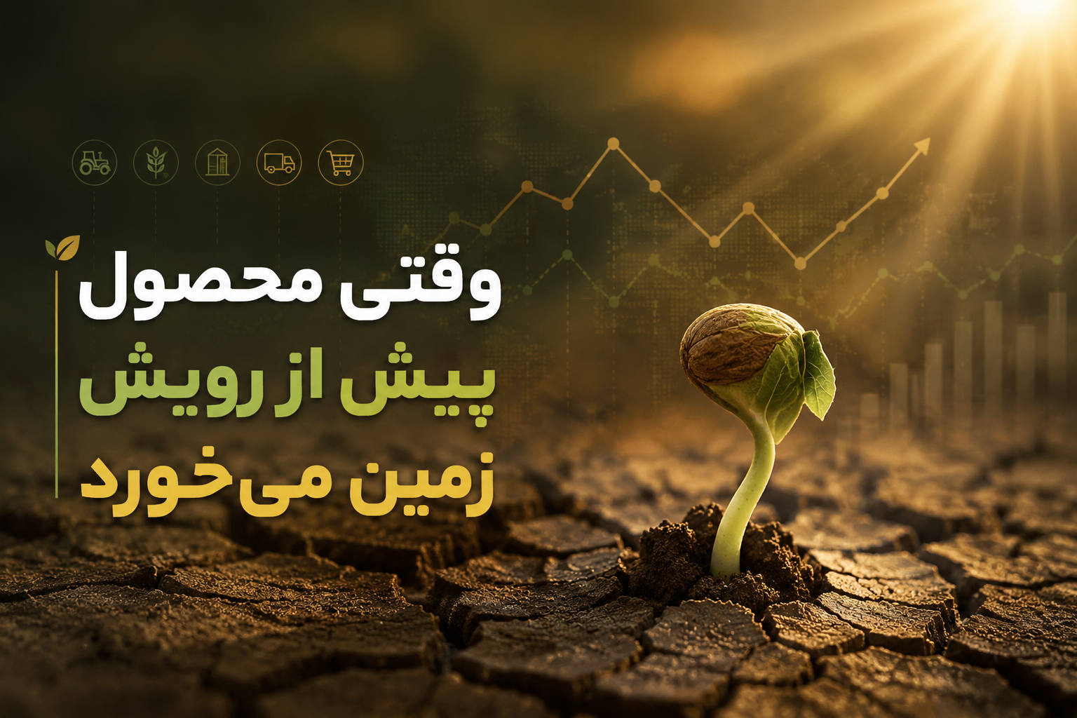 وقتی محصول پیش از رویش زمین می‌خورد